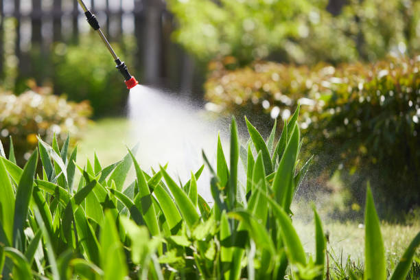 24/7 Emergency Ant Control experts in Steger, IL
